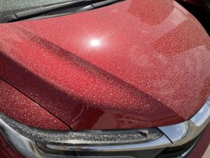 なぜ花粉と黄砂は「ただの埃」ではないのか？愛車を傷めない洗車術』｜新潟柏崎市最大級の軽未使用車専門店「フォーラムムラタ」　